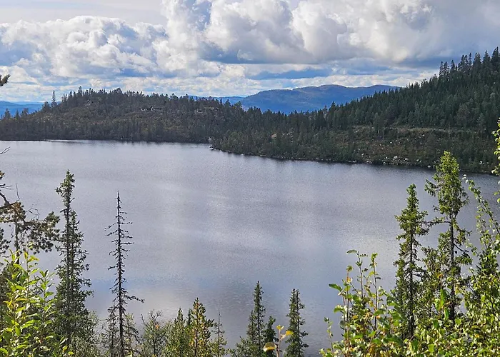 Ferienhaus Gorgeous In With Sauna